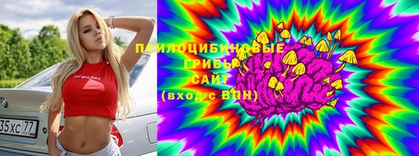 PSILOCYBIN Алексин