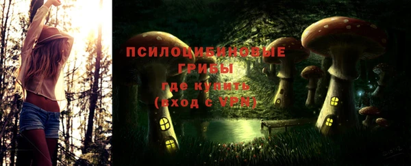PSILOCYBIN Алексин