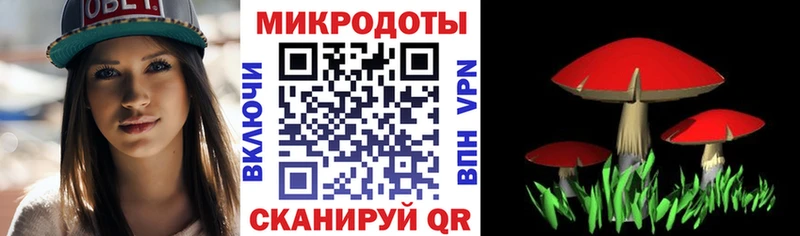 kraken ССЫЛКА  Ладушкин  Псилоцибиновые грибы мухоморы 