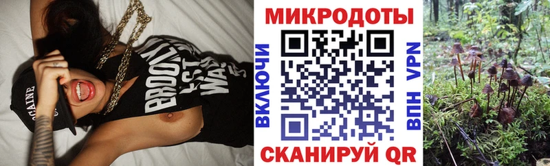 Галлюциногенные грибы Cubensis Ладушкин