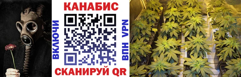 Бошки Шишки Amnesia Ладушкин